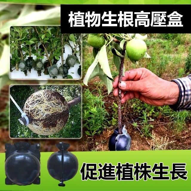 植物高壓生根繁殖器扦插嫁接盒,價格低至39!高溫高壓、快速促生根係、成活率高 植物高壓生根繁殖器扦插嫁接盒,價格低至39!高溫高壓、快速促生根係、成活率高