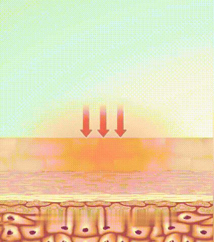 1777229774580550.gif